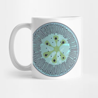 Diatom - Lindavia ocellata (green, artwork) Mug